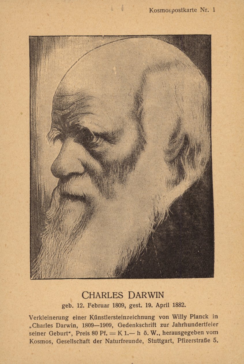 Charles Darwin (1809-1882), englantilainen luonnontieteilijä (litografia) tekijältä German School