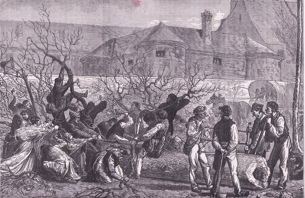 Puiden kaato Pariisin ympärillä polttopuuta varten, Cassells History of the War Ranskan ja Saksan välillä, julkaisija Cassell and Company Limited, n. 1890 (litho) tekijältä German School