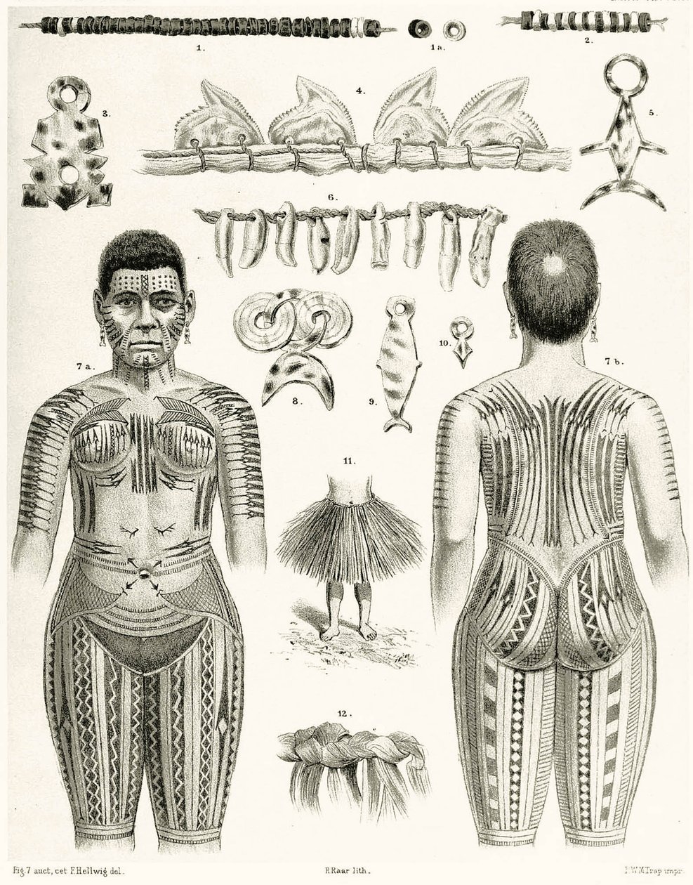 Kaavio polynesialaisista koruista, koristeista ja tatuoinneista, 1888 tekijältä German School