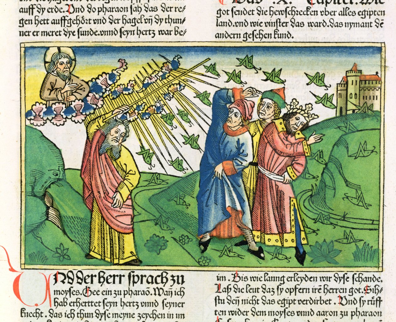 Mooseksen kirja 10:1-20 Egyptin seitsemän vitsausta: heinäsirkkojen rutto, Nürnbergin Raamatusta (Biblia Sacra Germanaica) (värillinen puupiirros) tekijältä German School