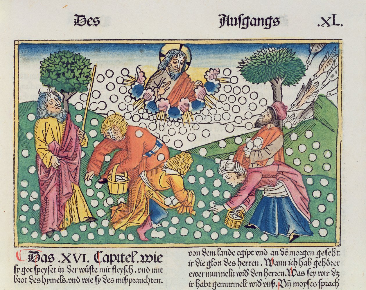 2. Moos. 16 13-22 Jumala tarjoaa israelilaisille viiriäisiä ja mannaa Nürnbergin Raamatusta (Biblia Sacra Germanaica) (värillinen puupiirros) tekijältä German School