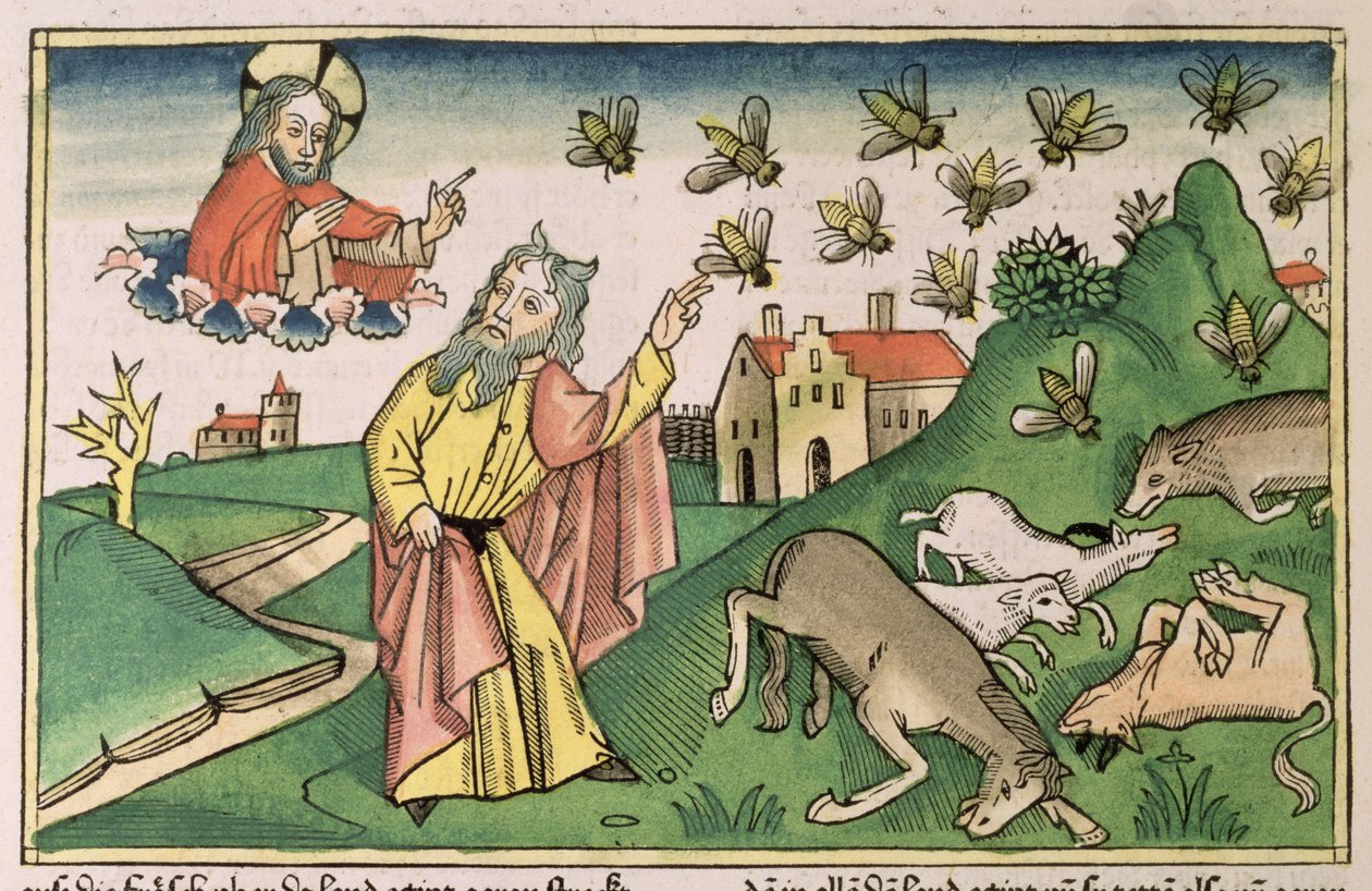 Exodus 8 20-32 Egyptin seitsemän vitsausta: Mooses ja kärpäsparvi, "Nürnbergin Raamatusta (Biblia Sacra Germanaica)" (värillinen puupiirros) tekijältä German School
