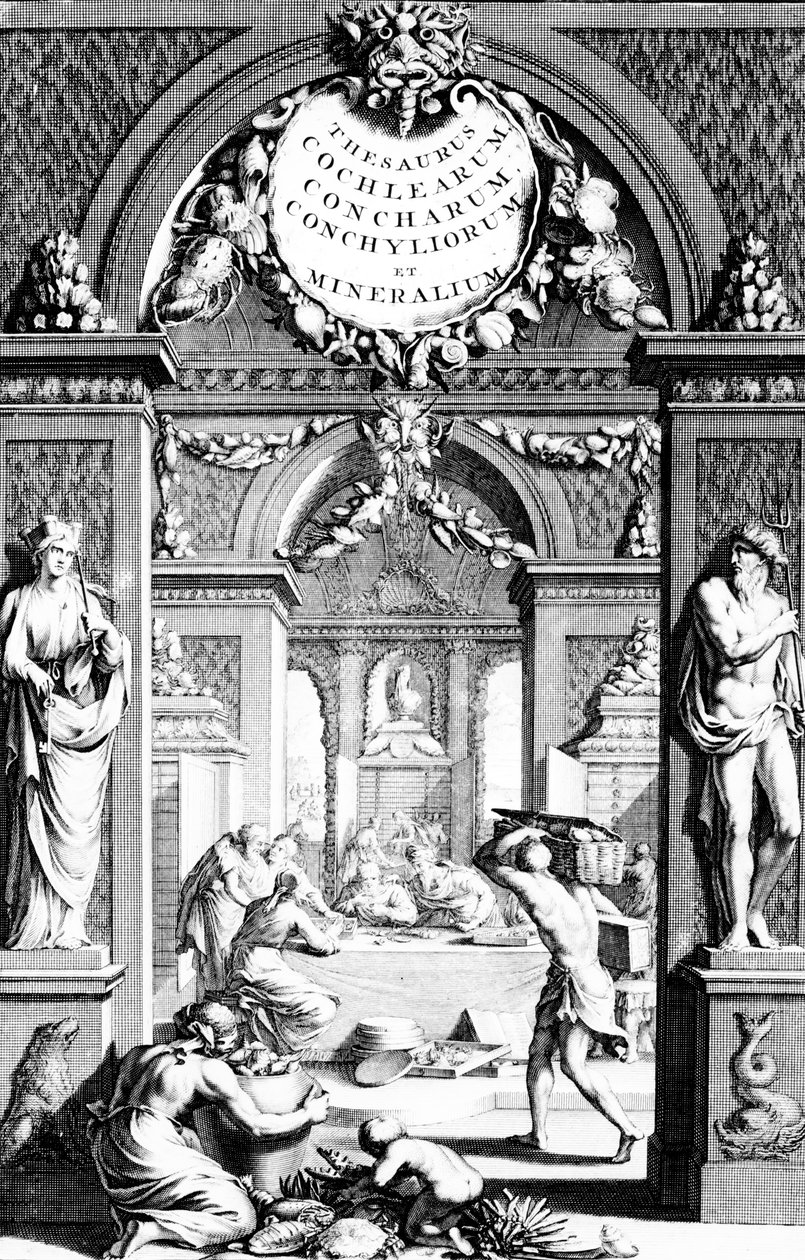 Georg Eberhard Rumphiuksen tesaurusten kalojen etukappale, painos julkaistiin vuonna 1739 tekijältä German School