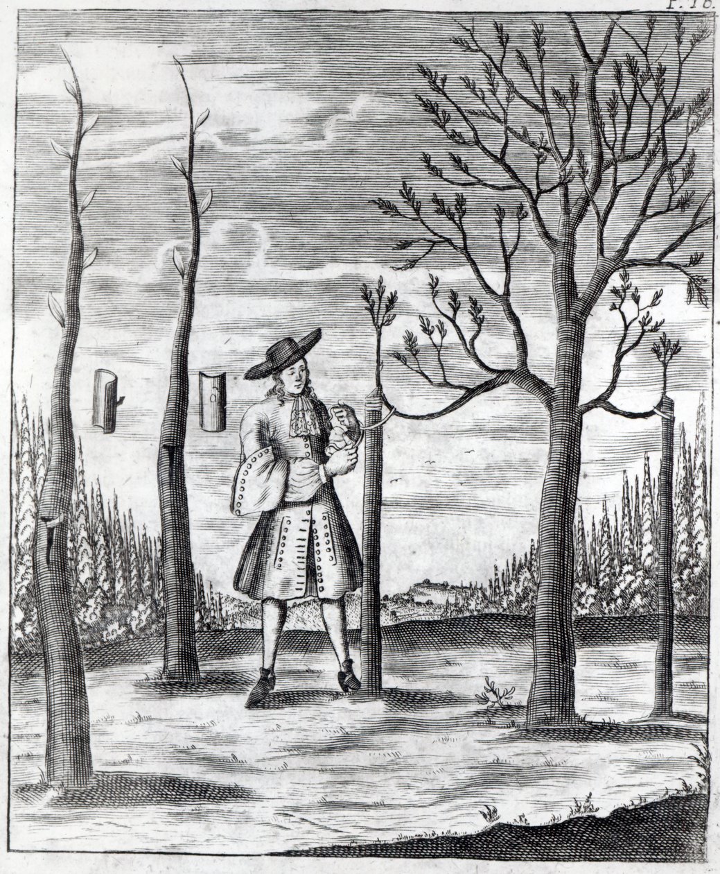 Puutarhanhoito ja kasvitaudit, kuvitus Heinrich Hessen teoksesta "Neue Garten-lust", 1696 tekijältä German School