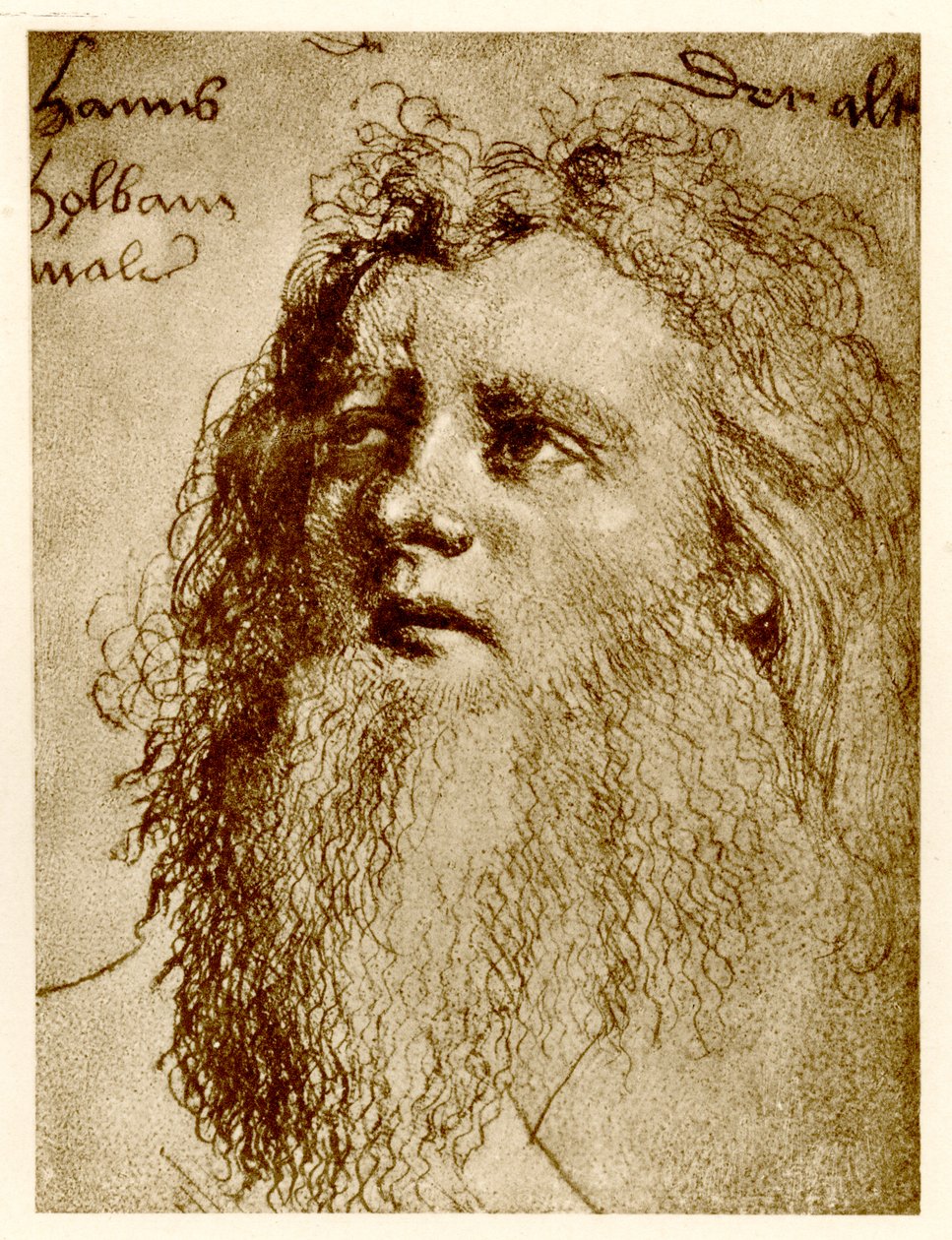 Hans Holbein vanhempi, 1884-90 (valokuva) tekijältä German School