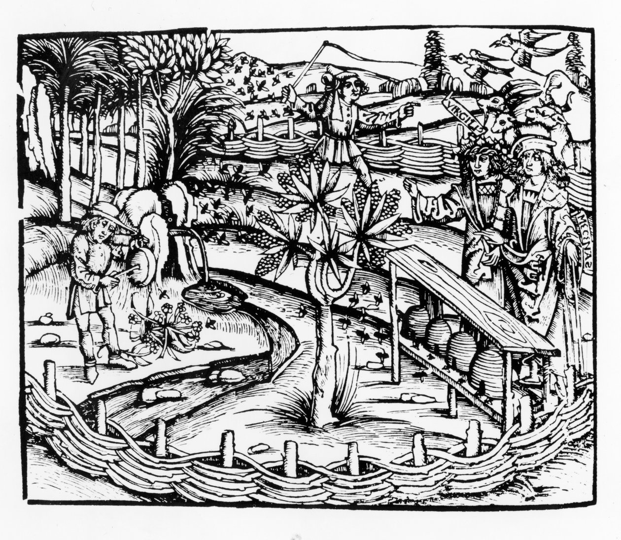 Onnelliset aviomiehet hoitavat mehiläisiä, kuvitus Vergiliusin Georgicsista, kirja IV, Sebastian Brantsin (1457-1521) painos, julkaistu 1502 tekijältä German School