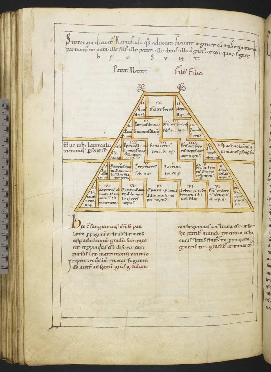 Harley MS 2660 f.91v "Etymologiae and De natura rerum", Isidore of Sevilla tekijältä German School
