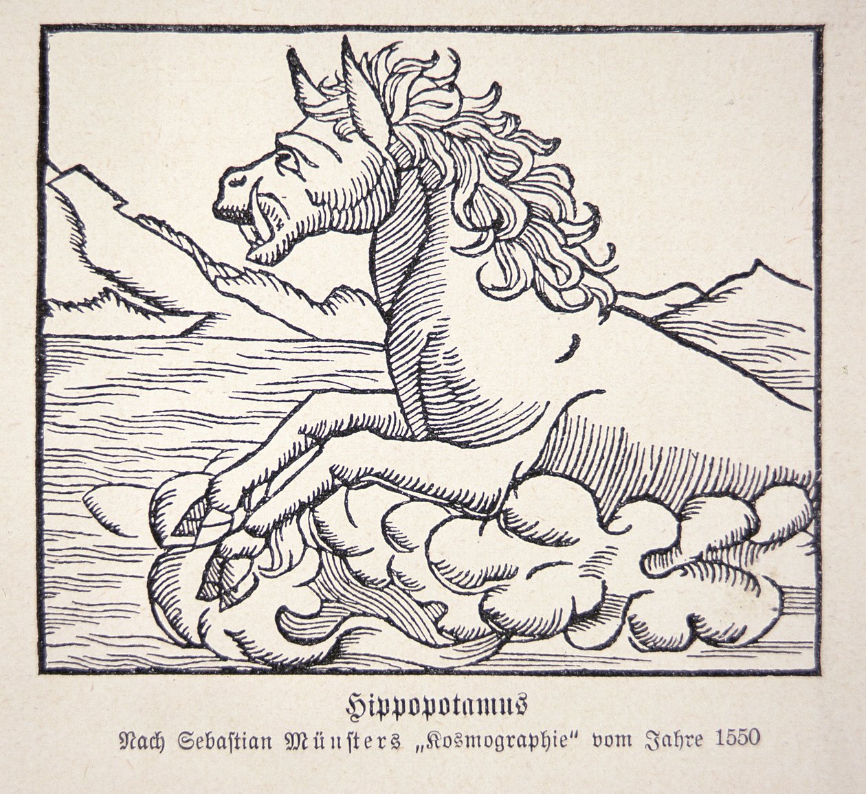 Virtahepo Sebastien Münsterin Cosmographie Universalisista tekijältä German School