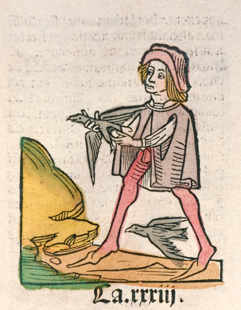Hortus Sanitatis [El jardí de la salut] de Jacob Meydenbach publicat l