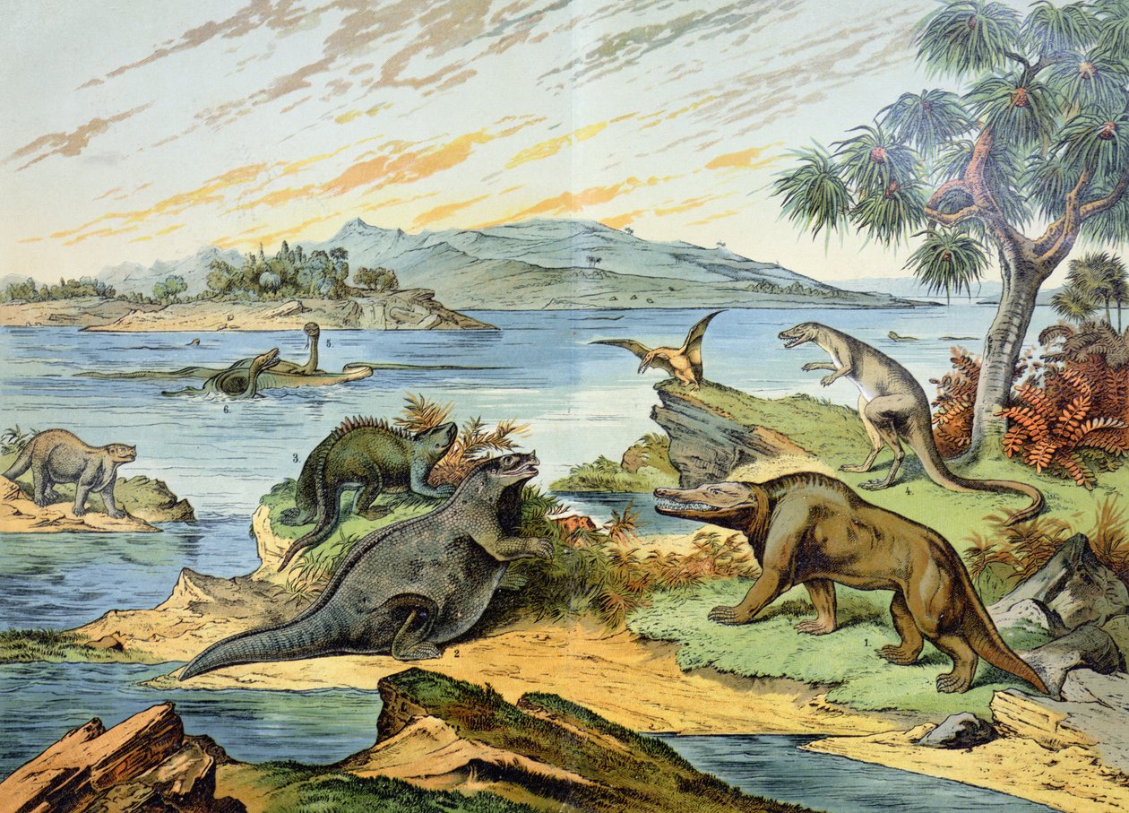 Maisema, joka kuvaa liitukauden ajanjaksoa (146–65 miljoonaa vuotta sitten) kuva Mineralogia ja paleontologiasta Natural History of G.H. von Schubert, 1888 tekijältä German School
