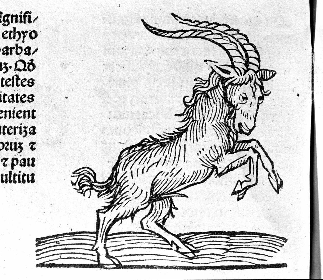 Le Capricorn - Johannes Angeli De Magnisconnectionibue annorum revolutionis et eum pefectionis tutkielmassa. Augsburg, Erhard Ratdolt tekijältä German School