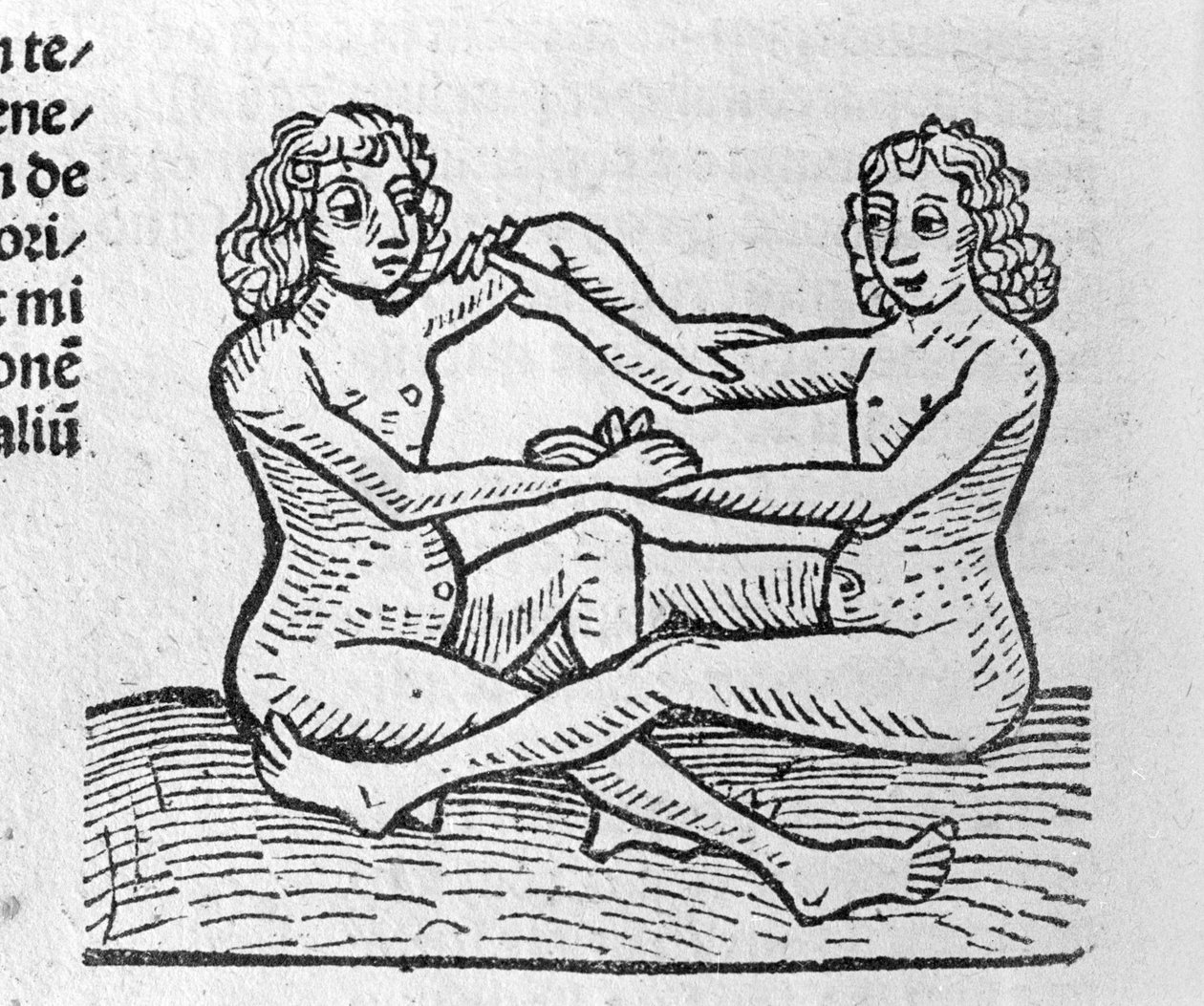 Les Gemini - Traité de Johannes Angelo Vuosien suurista yhteyksistä ja niiden vallankumouksista. Augsburg, Erhard Ratdolt tekijältä German School