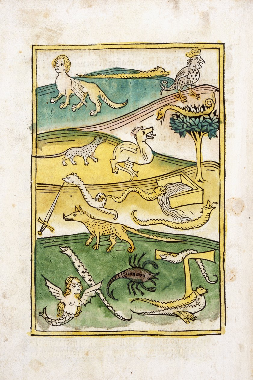 Hirviöitä ja käärmeitä maisemassa, 1478 tekijältä German School