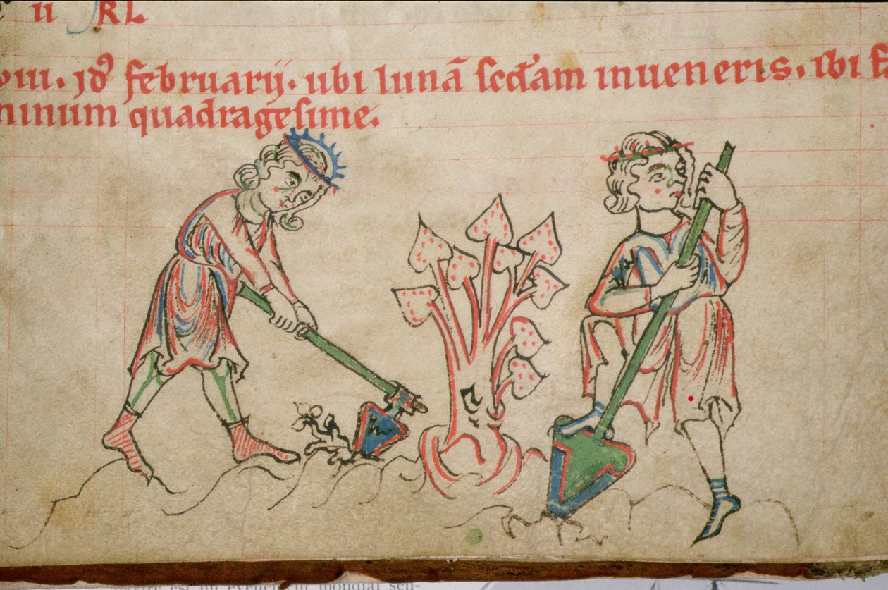 Ms 54 f.37 helmikuu: Psalttari (pergamentti). tekijältä German School