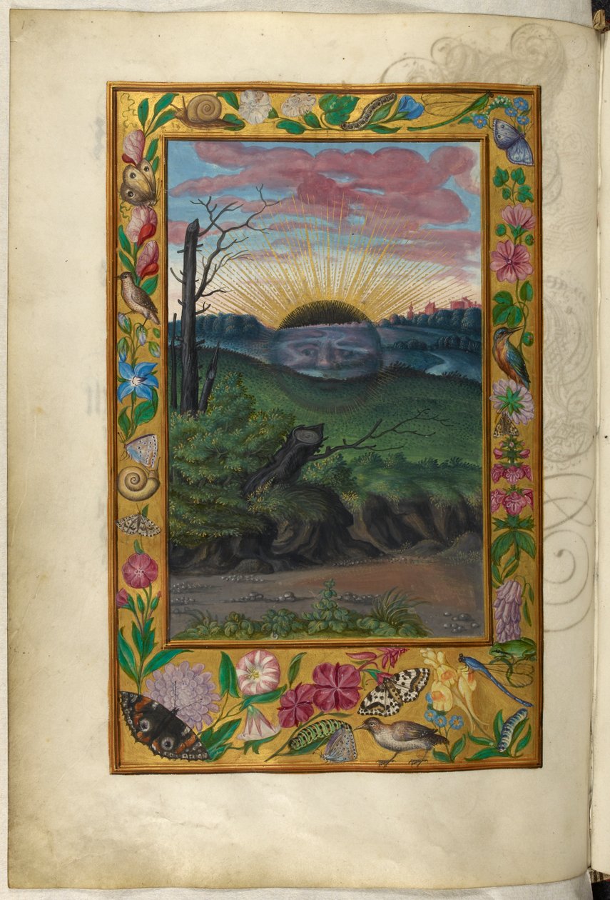 Ms Harley 3469, f.30v The Dark Sun, viides traktaatti, Salomon Trismosinin Splendor Solisista tekijältä German School