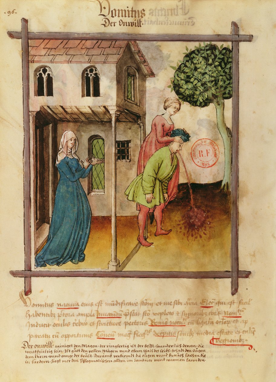 Ms Lat 9333 fol.96v Mies oksentaa, yhtiöltä Tacuinum Sanitatis tekijältä German School
