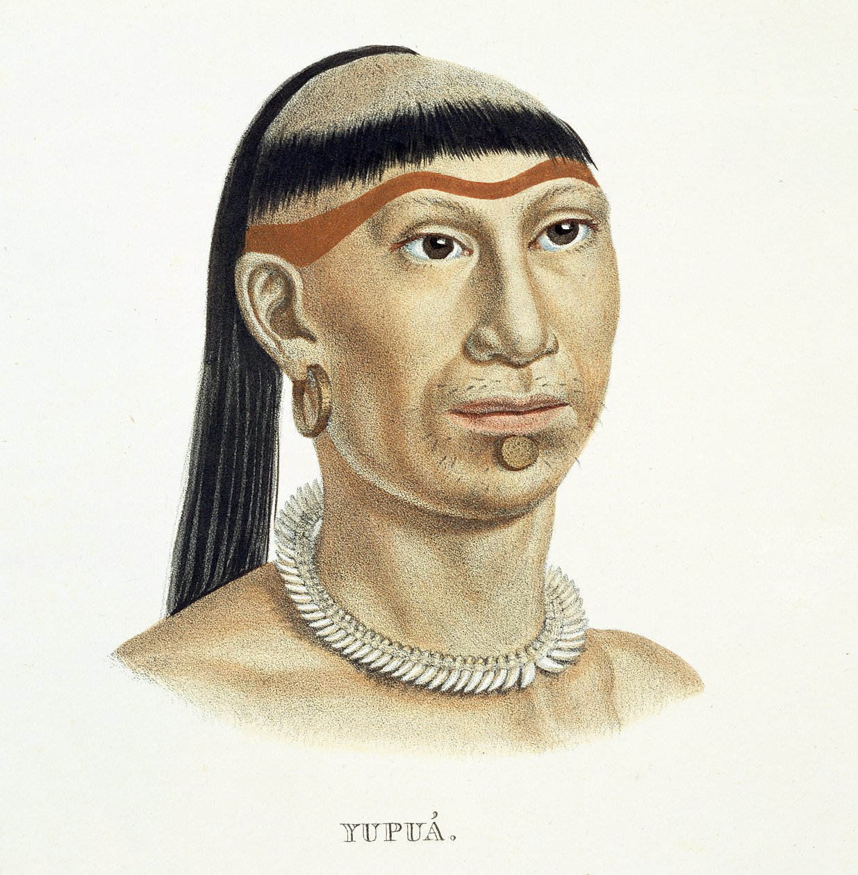 Yupua-heimon syntyperäinen mies kynityillä ja ajeltuilla hiuksilla ja eläimen hampaista tehdyllä kaulakorulla, Johann Baptist von Spixin (1781-1826) ja Karl Friedrich Philipp Marin Atlas of a Journey in Brazil tekijältä German School