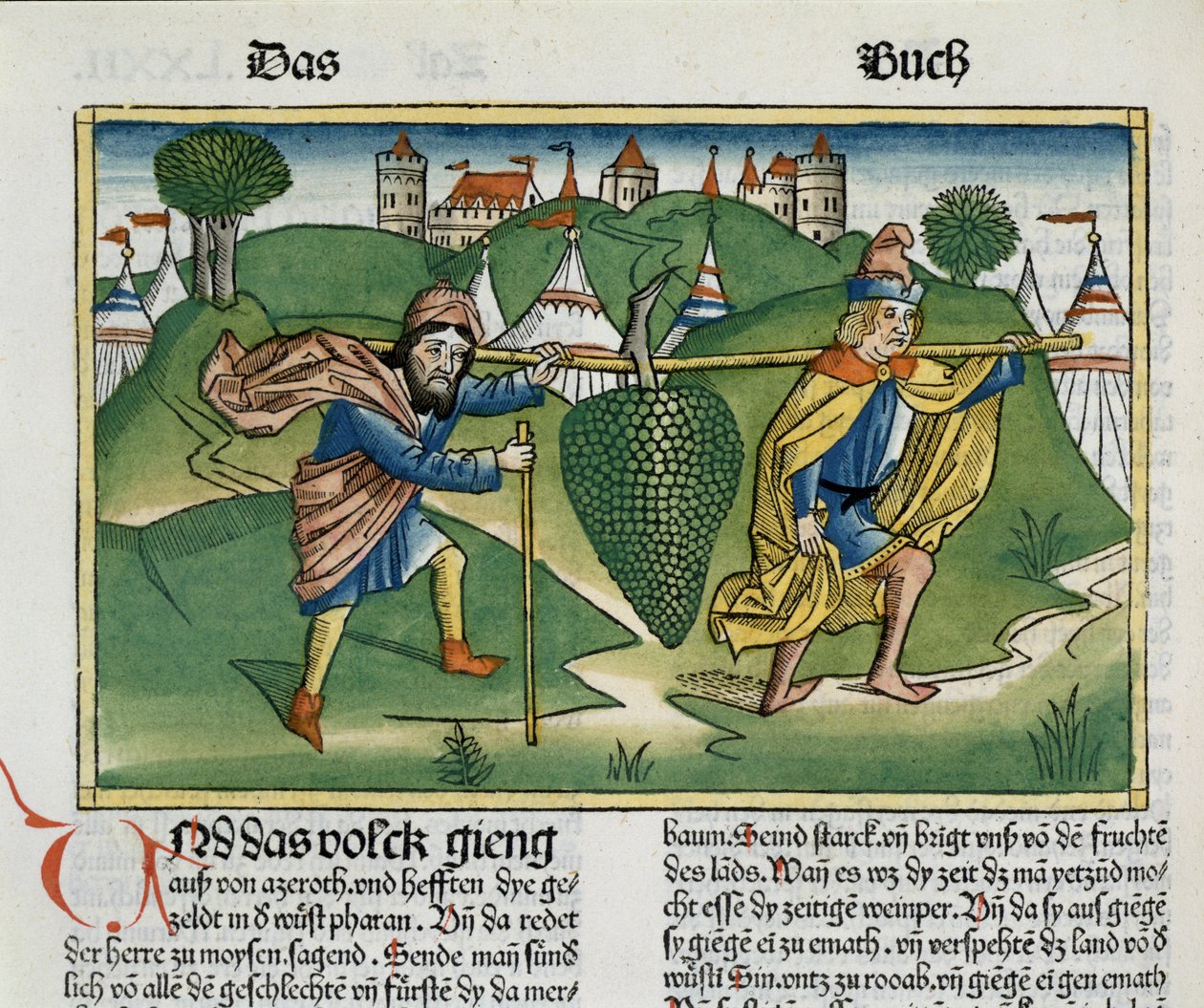 Numero 13 23 Eshcolin viinirypäleet, Nürnbergin Raamatusta (Biblia Sacra Germanica) (värillinen puupiirros) tekijältä German School