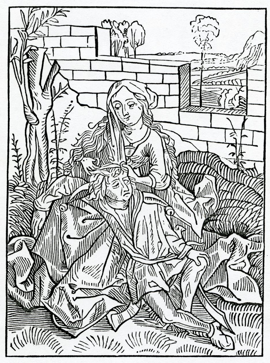 Vioista, jotka eivät voi salata omaa neuvoaan, esimerkki Alexander Barclayn englanninkielisestä käännöksestä "The Ship of Fools" vuonna 1874 julkaistusta painoksesta tekijältä German School
