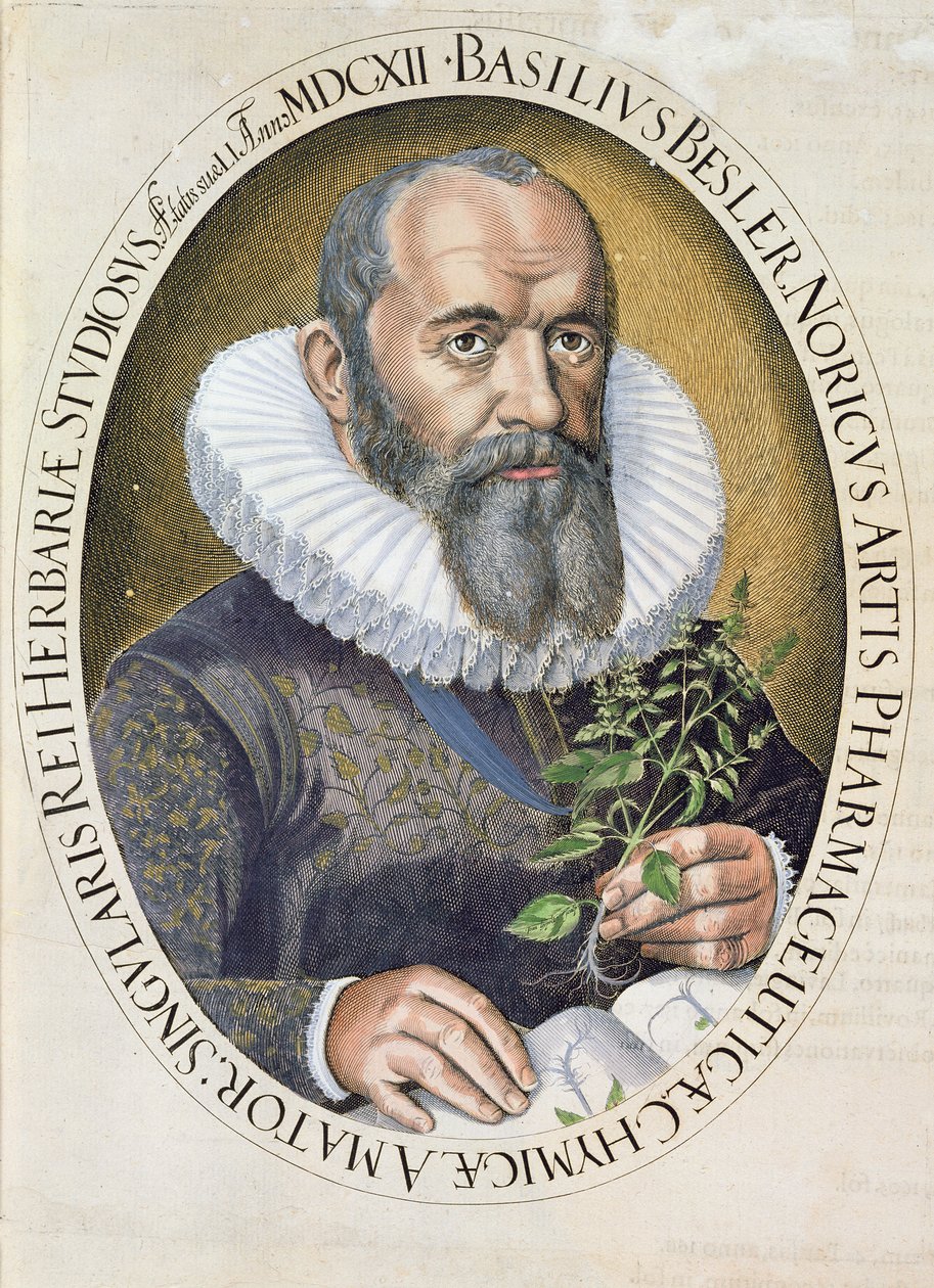 Basil Beslerin (1561-1629) muotokuva vuonna 1612, Hortus Eystettensis -pubista. 1613 tekijältä German School