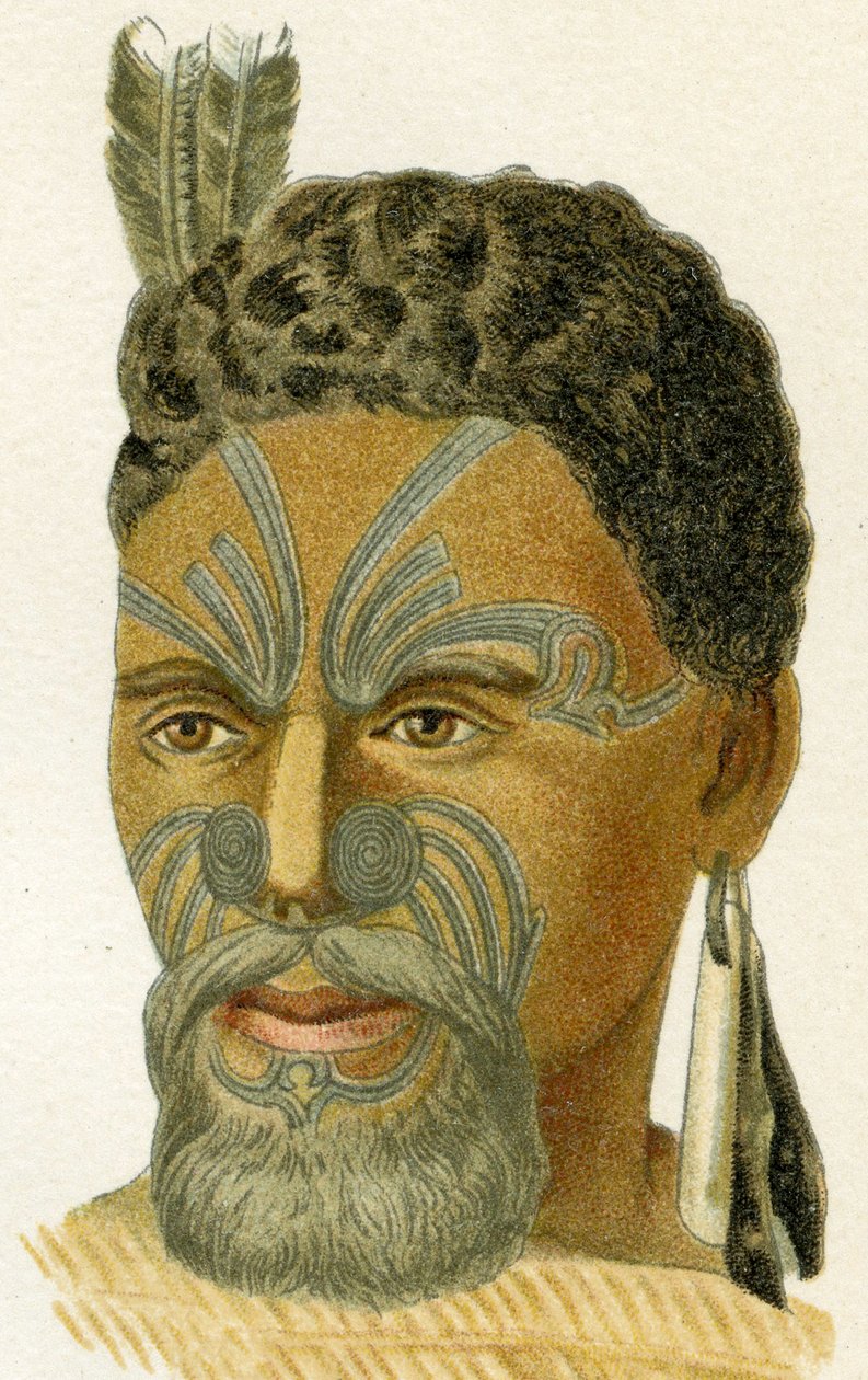 Maoripäällikön tatuoidut kasvot, 1894 tekijältä German School