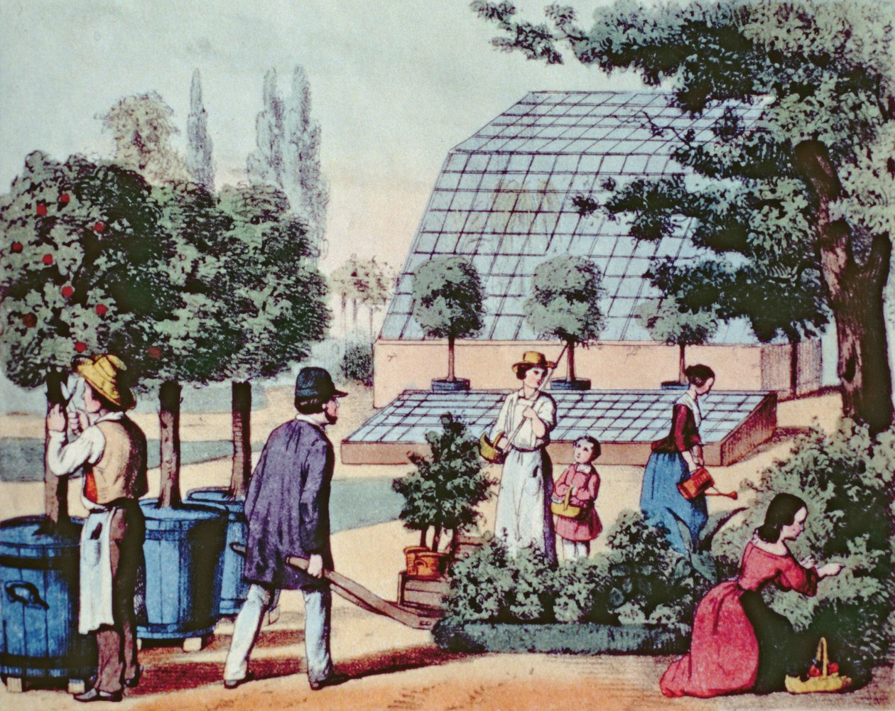 Puutarhan hoito, n. 1860 (värikaiverrus) tekijältä German School