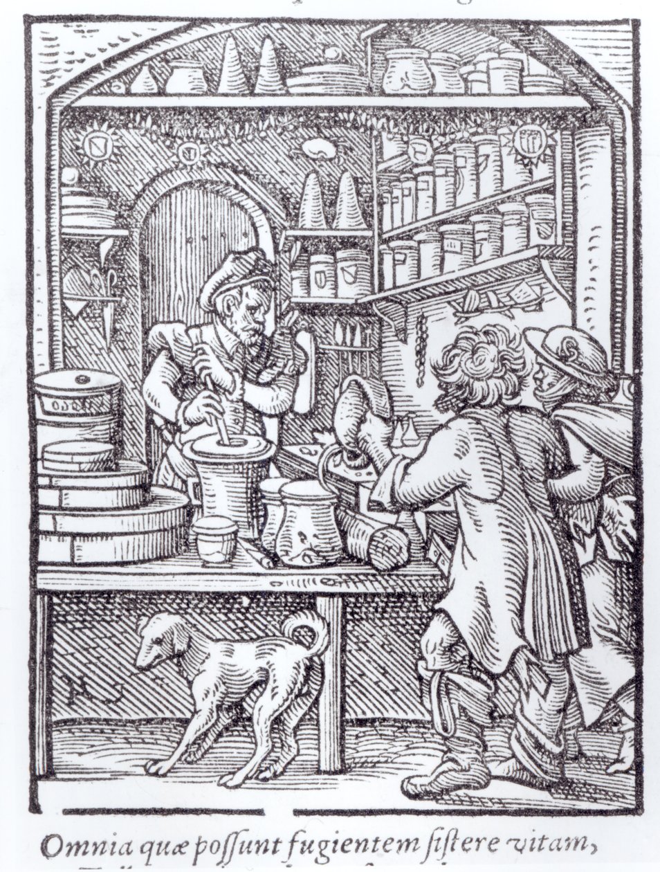 The Apothecary, julkaisija Hartman Schopper tekijältä German School