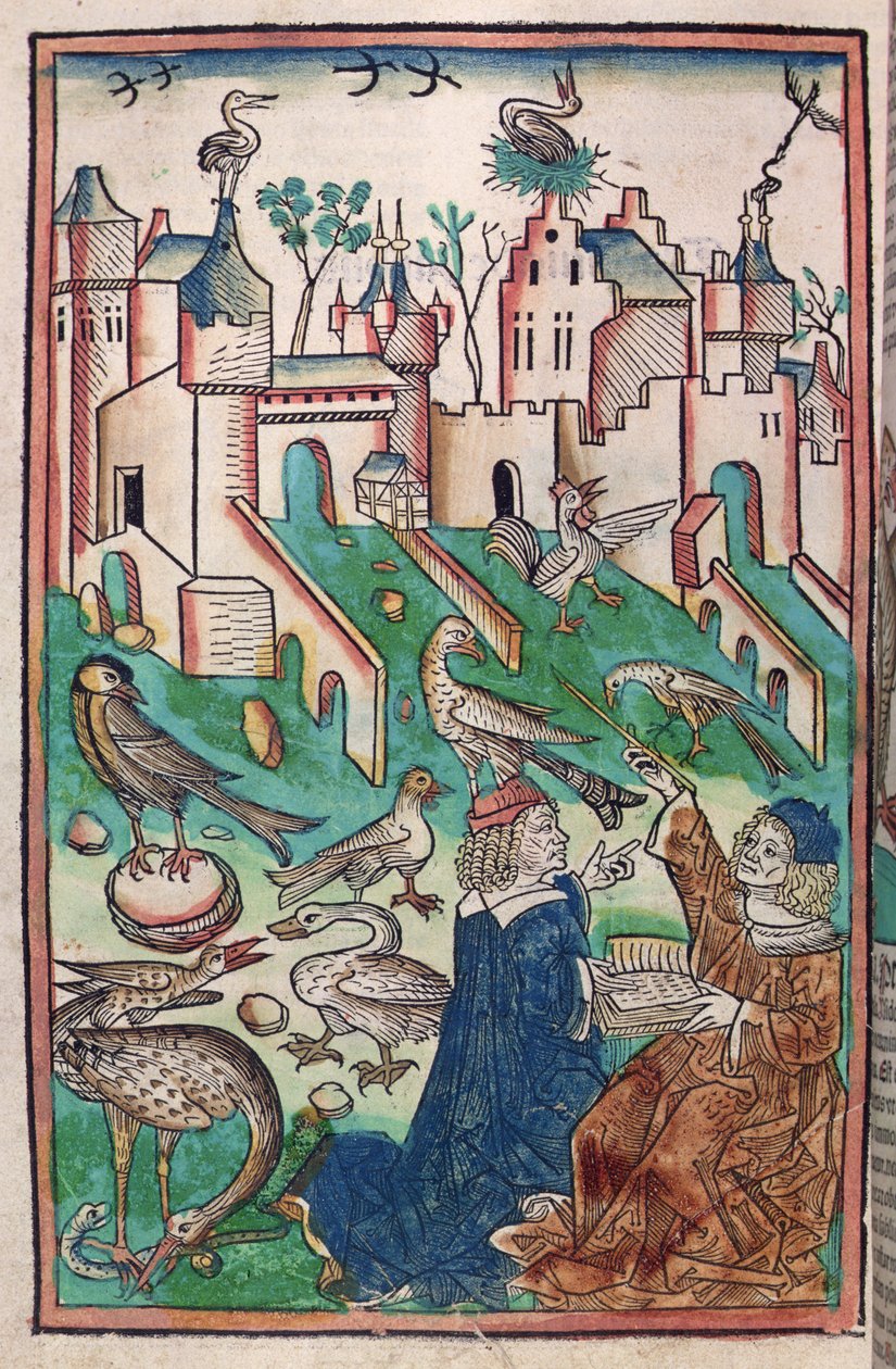 Linnut ja ilmojen olennot, kuvitus teoksesta "Hortus Sanitatis" ("Terveyden puutarha") 1491 (värillinen puupiirros). tekijältä German School