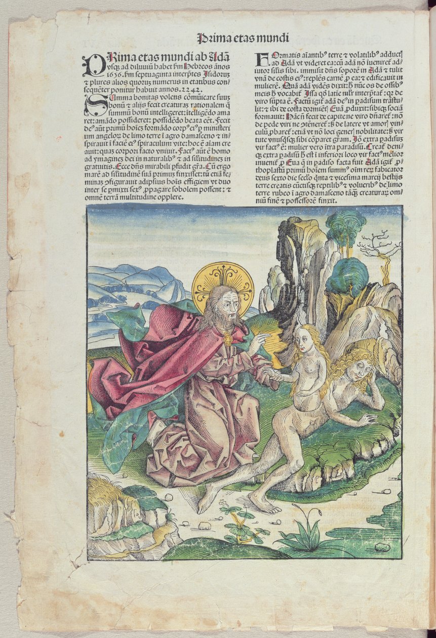 Eevan syntymä Hartmann Schedelin (1440-1514) teoksesta "Liber Chronicarum" 1493 (värillinen puupiirros) tekijältä German School
