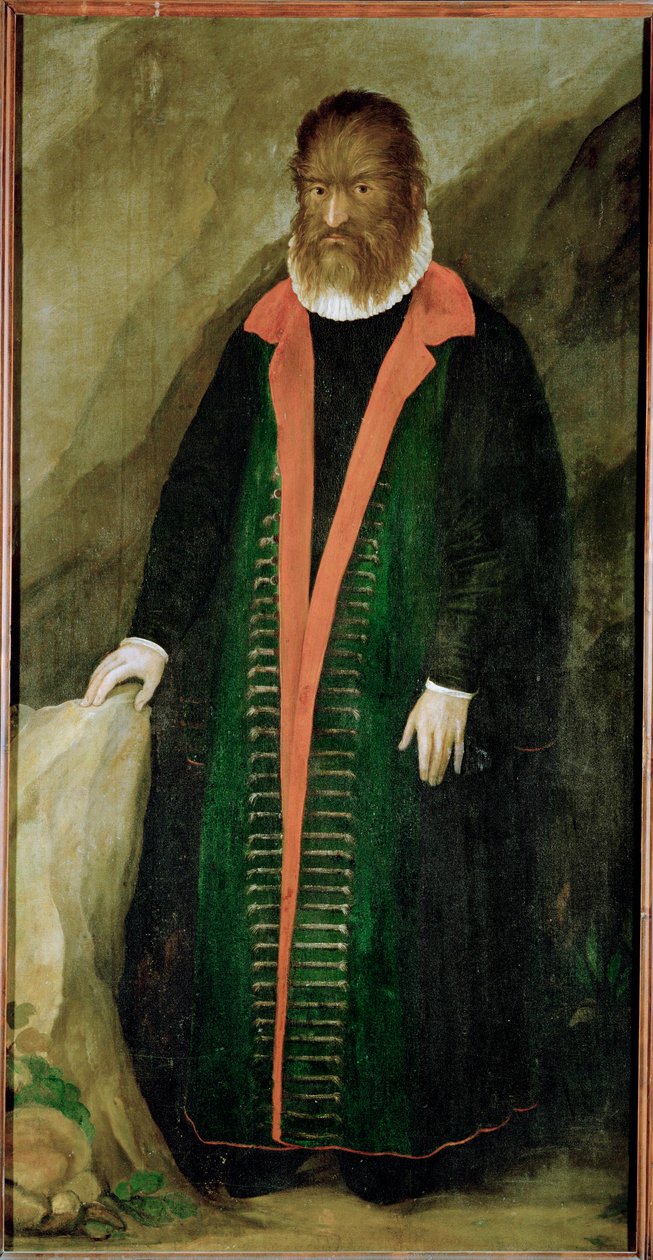 Karvainen mies, Petrus Gonzalvus, syntynyt 1556 Teneriffalla ... tekijältä German School