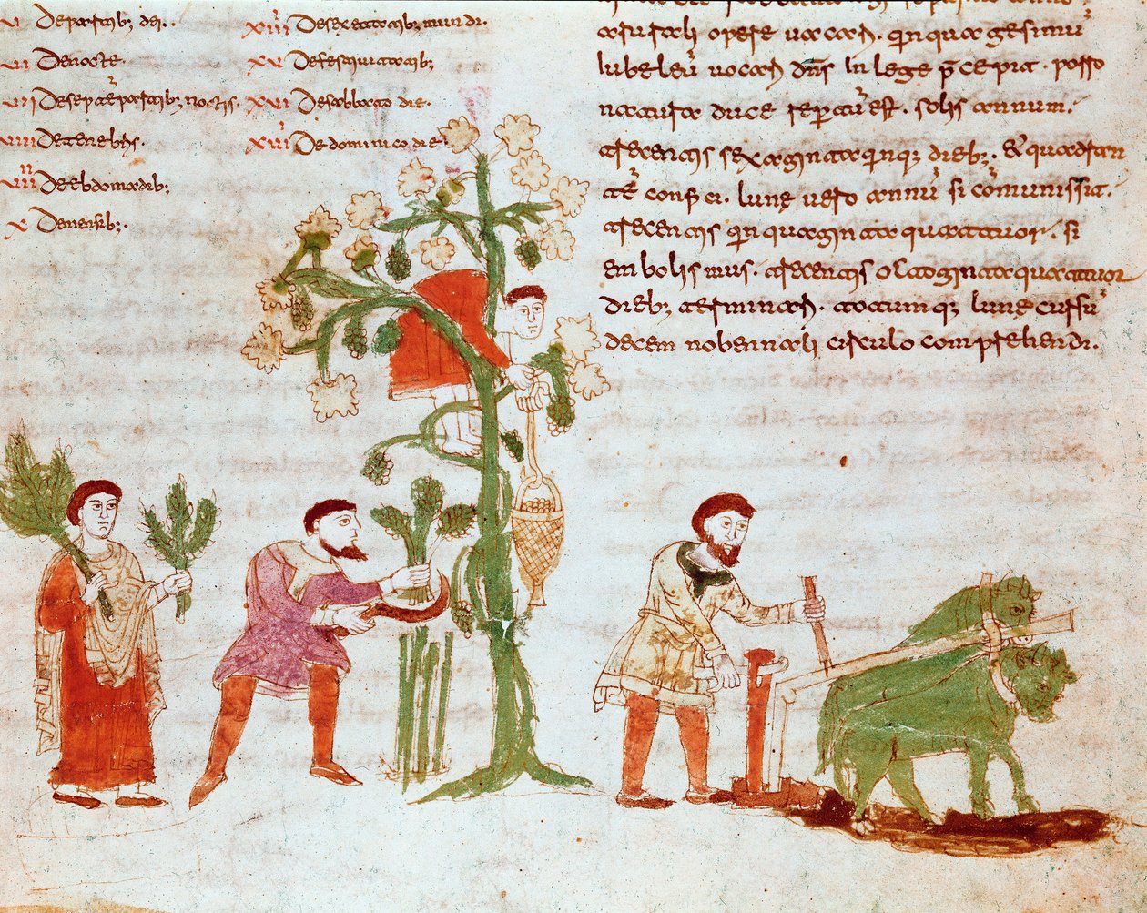 Neljä vuodenaikaa: kyntämisen ja rypäleiden poimimisen kohtaus (sadonkorjuu). Miniatyyri Rabanus Maurus Magnentiuksen (tai Raban Maurin tai Rabano Mauron) (n. 780-856) käsikirjoituksesta "" De Universo"" (tai De rerum naturis (Asioiden luonteesta) (cod. 13 tekijältä German School