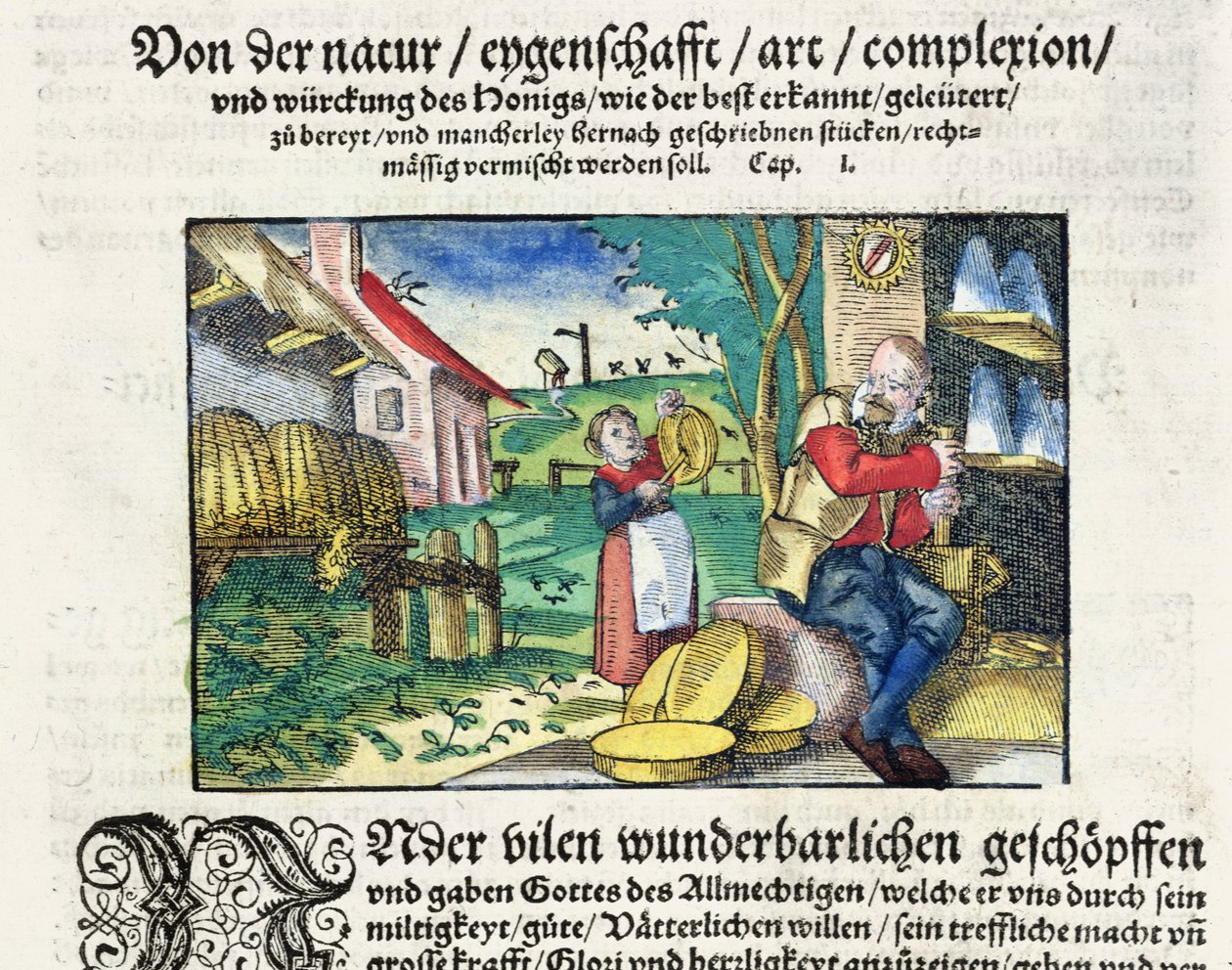 Hunajan parantava ja terapeuttinen käyttö lääketieteessä, esimerkki saksalaisesta lääkkeitä käsittelevästä tutkielmasta, joka julkaistiin Strasbourgissa vuonna 1573 (värillinen puupiirros) tekijältä German School