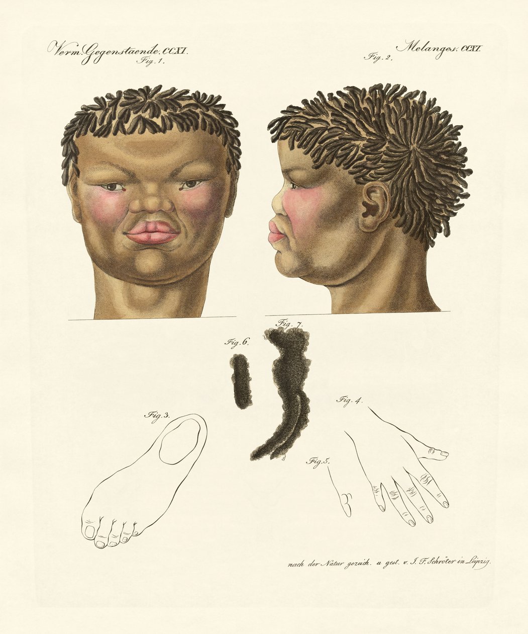 The hottentott tai bushman (värillinen kaiverrus) tekijältä German School