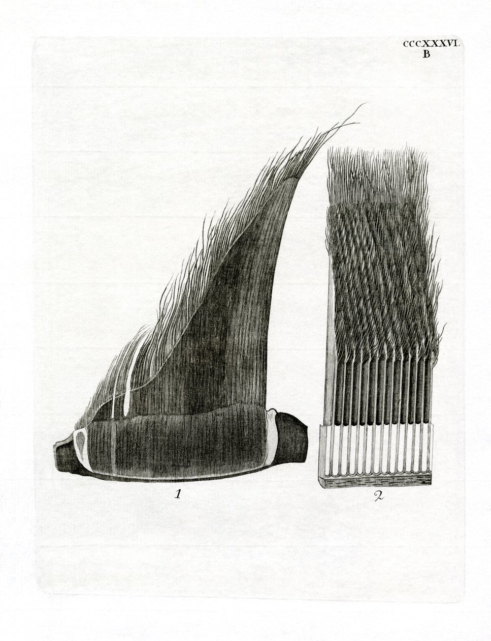 Whale Baleen -levyt (värillinen kaiverrus) tekijältä German School