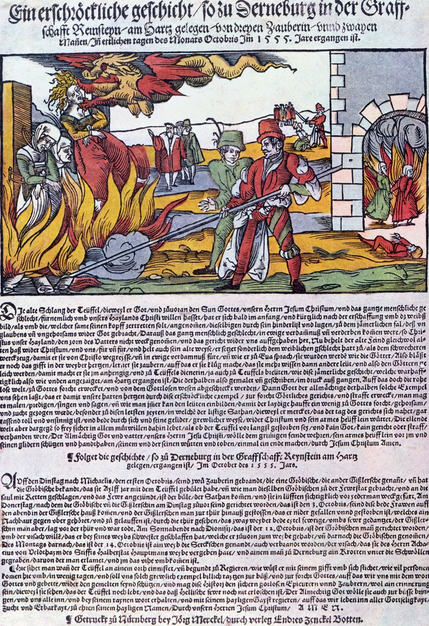 Noidat poltettiin Derneburgissa vuonna 1555 tekijältä German School