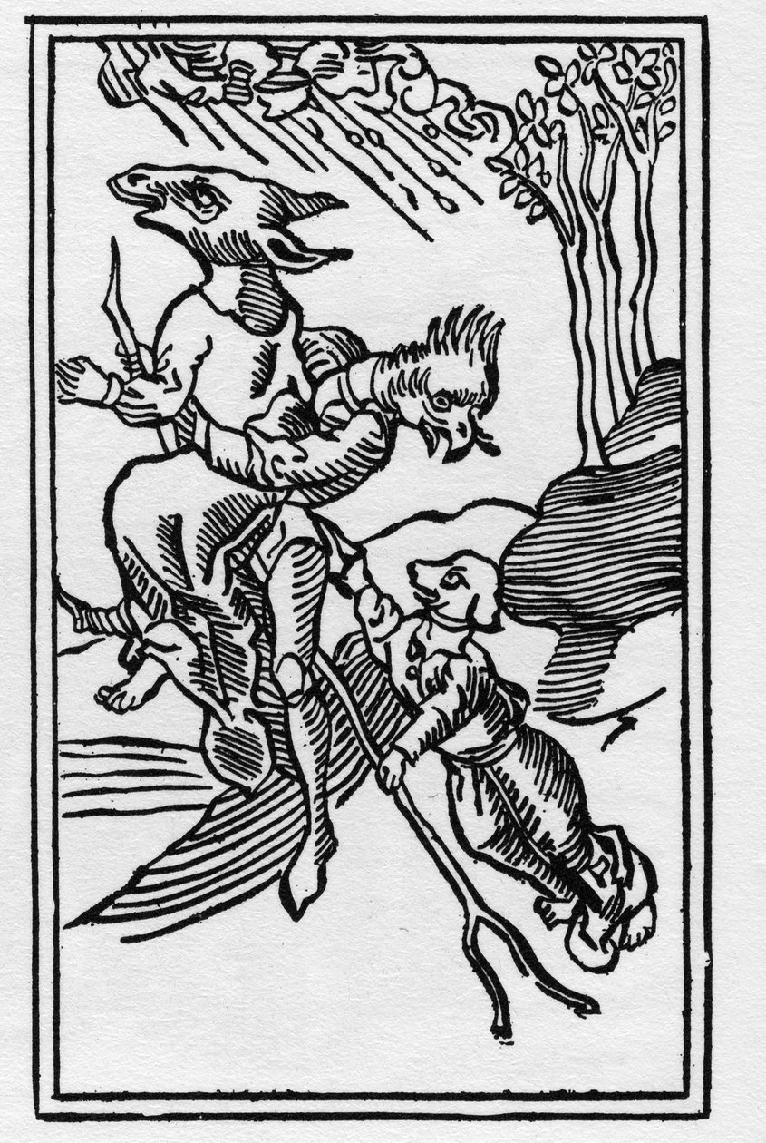 Noidat muuttuivat eläinkaiverruksiksi vuodelta 1489 Ulrich Molitorin teoksessa "The Witches and Python Women" tekijältä German School
