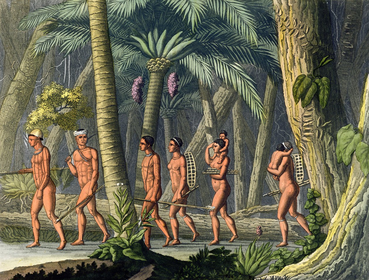 Native American Puri Tribesmen in their Forest, julkaisusta "Le Costume Ancien et Moderne", osa I, levy 46, Jules Ferrario, julkaistu noin 1820-30-luvulla (värikaiverrus) (katso myös 177058) tekijältä Gerolamo Fumagalli