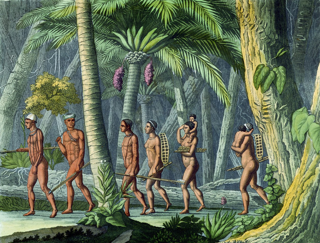 Puris in their Forest, Jules Ferrarion "Le Costume Ancien et Moderne", julkaistu n. 1820 (värikaiverrus) (katso myös 116129) tekijältä Gerolamo Fumagalli