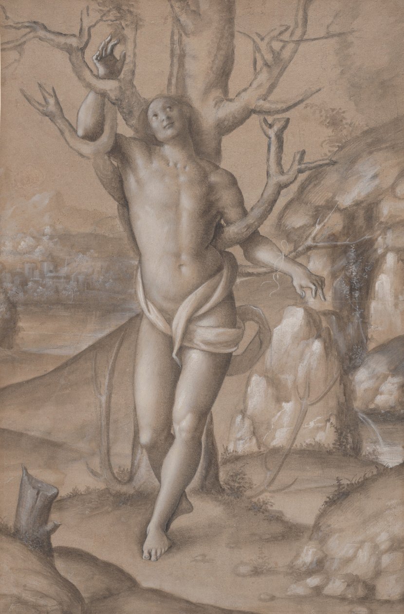 Saint Sebastian, n. 1524. tekijältä Gerolamo Giovenone