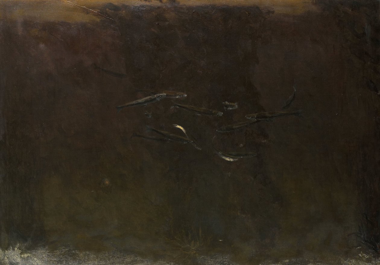 Kala akvaariossa tekijältä Gerrit Willem Dijsselhof