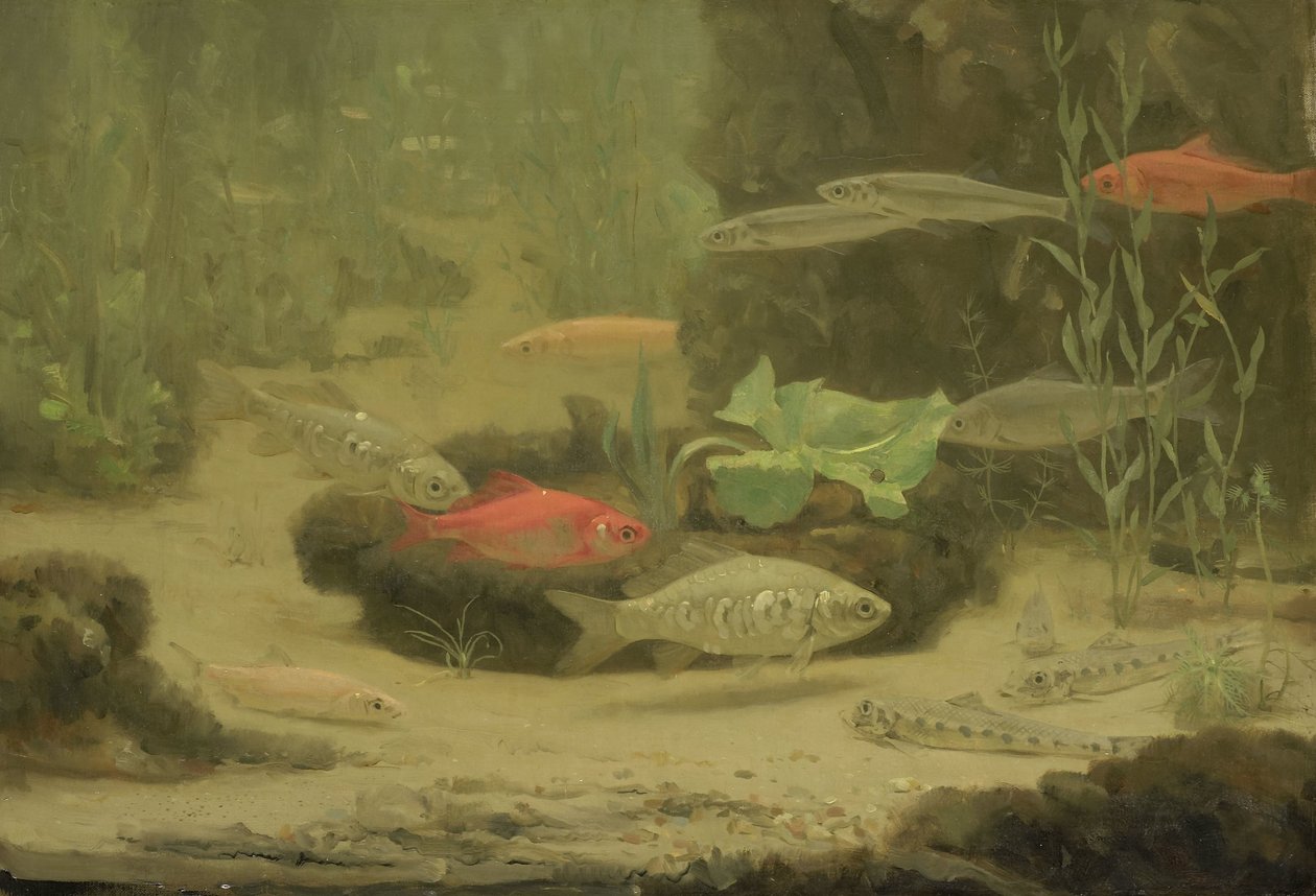 Kulta- ja hopeakala akvaariossa tekijältä Gerrit Willem Dijsselhof