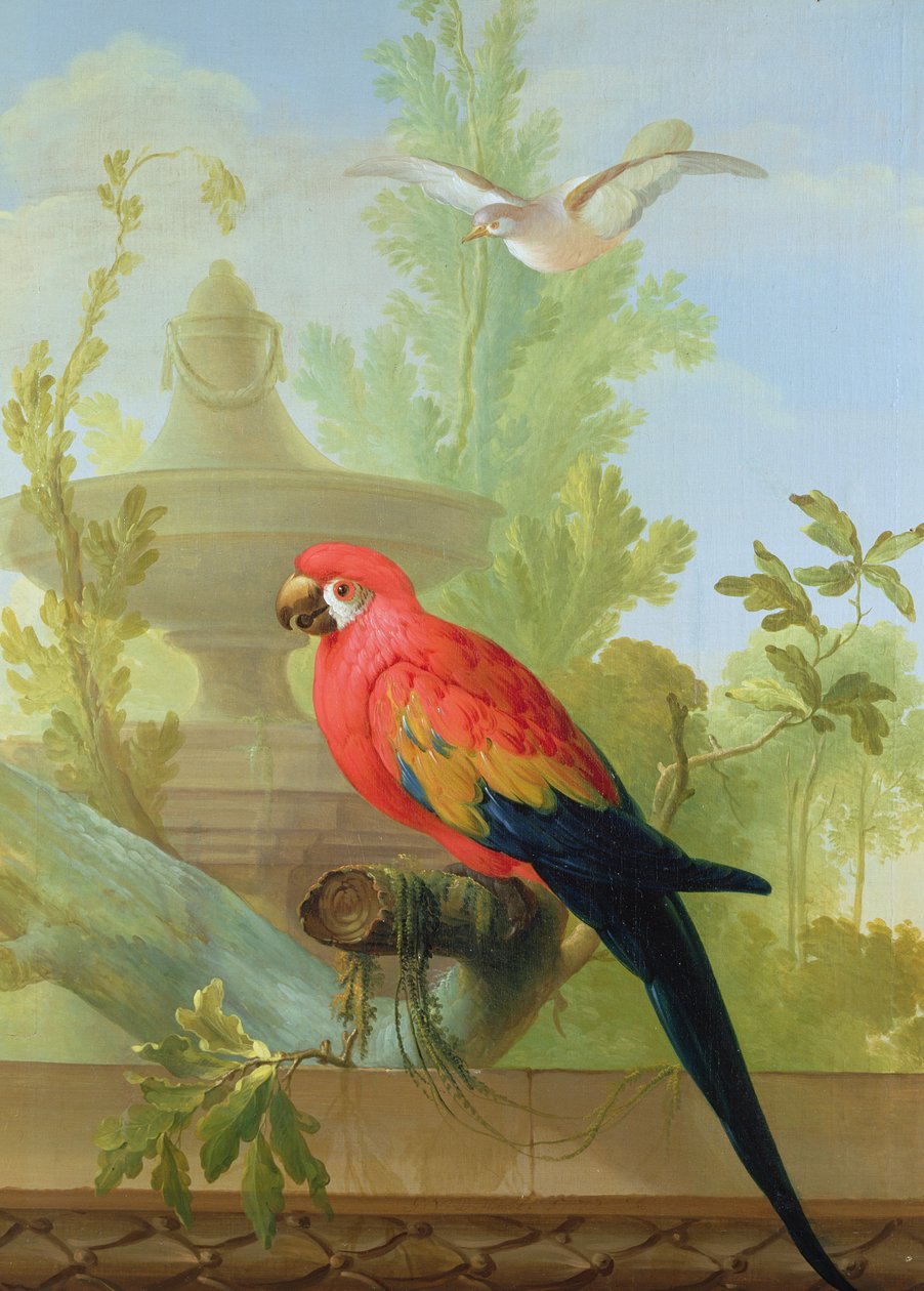 Ara ja kyyhkynen koristepuutarhassa, 1772 tekijältä Gerrit van den Heuvel