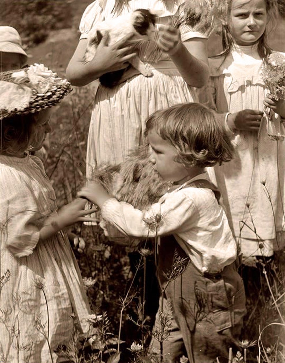 Onnellisia päiviä 1902 Gertrude Kasebier (1852-1934). tekijältä Gertrude Käsebier