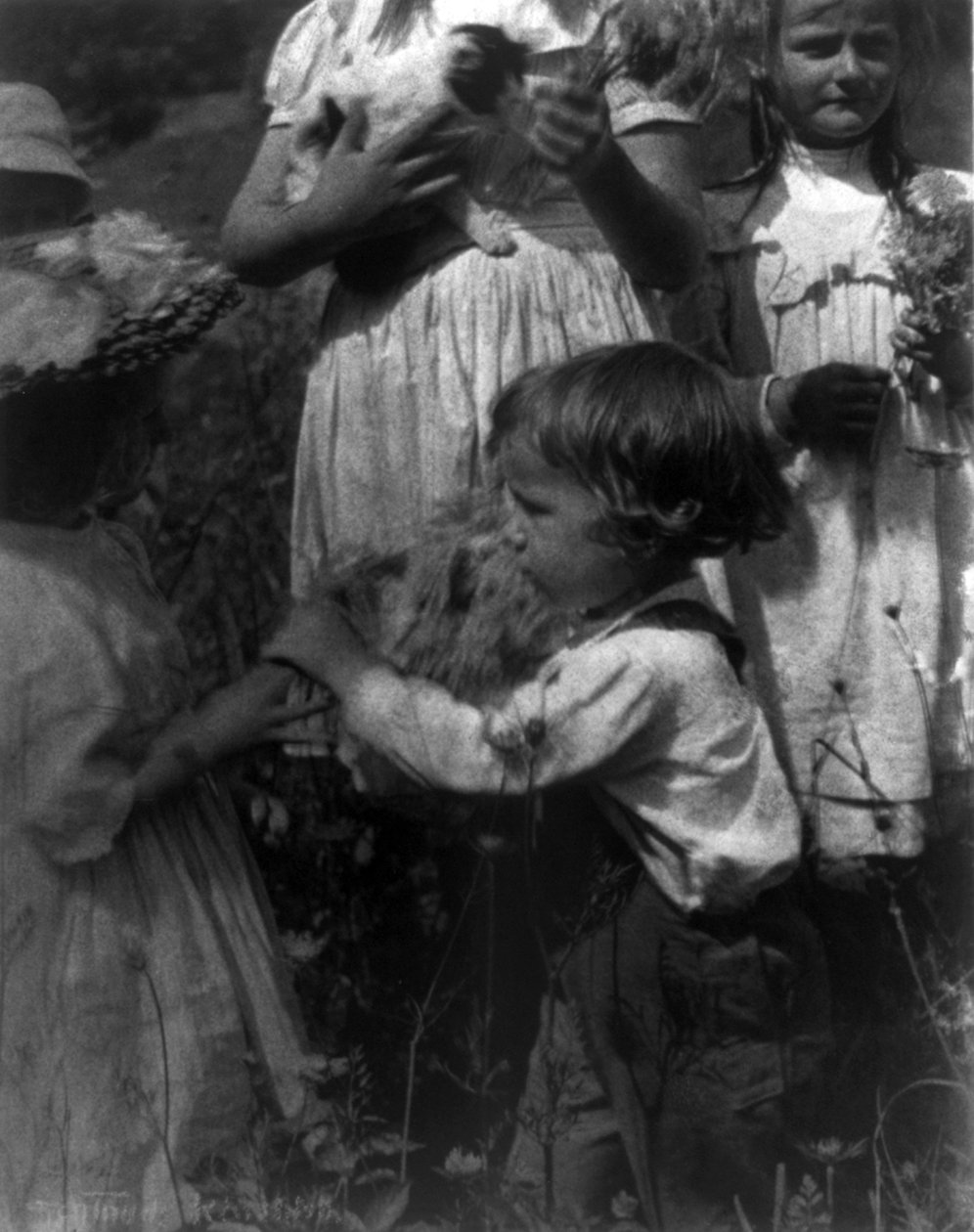 Hyvää päivää Gertrude Kasebier tekijältä Gertrude Käsebier