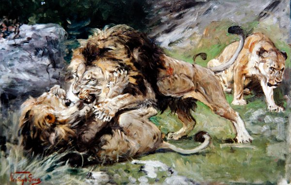 Barbary Lions Fighting, n. 1890 (öljy kankaalle) tekijältä Geza Vastagh
