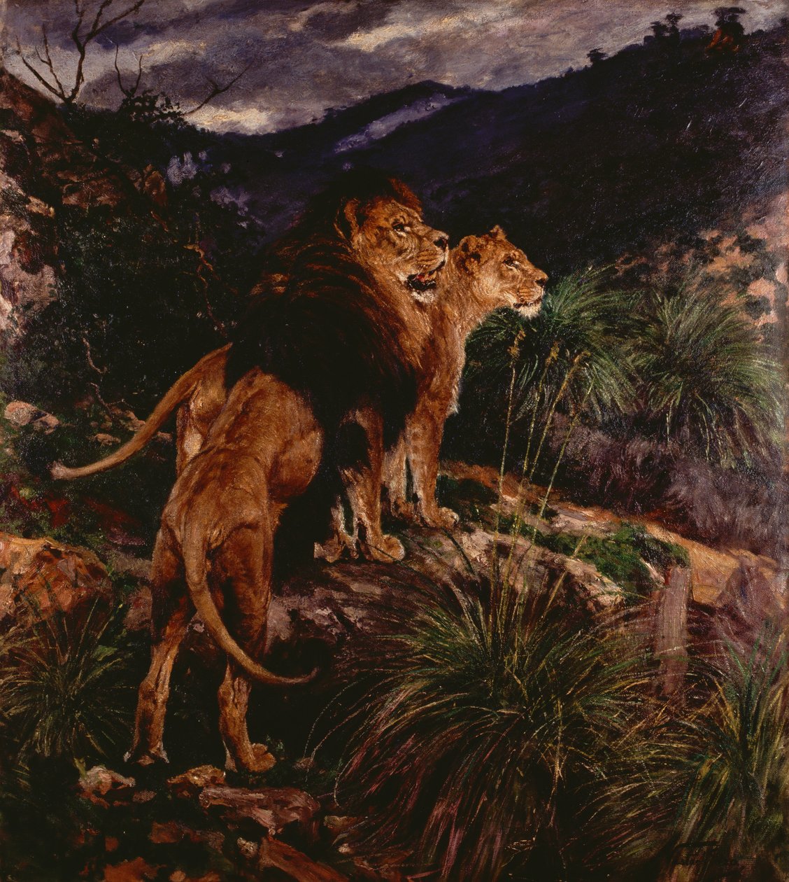 Lions Stalking (öljy kankaalle) tekijältä Geza Vastagh