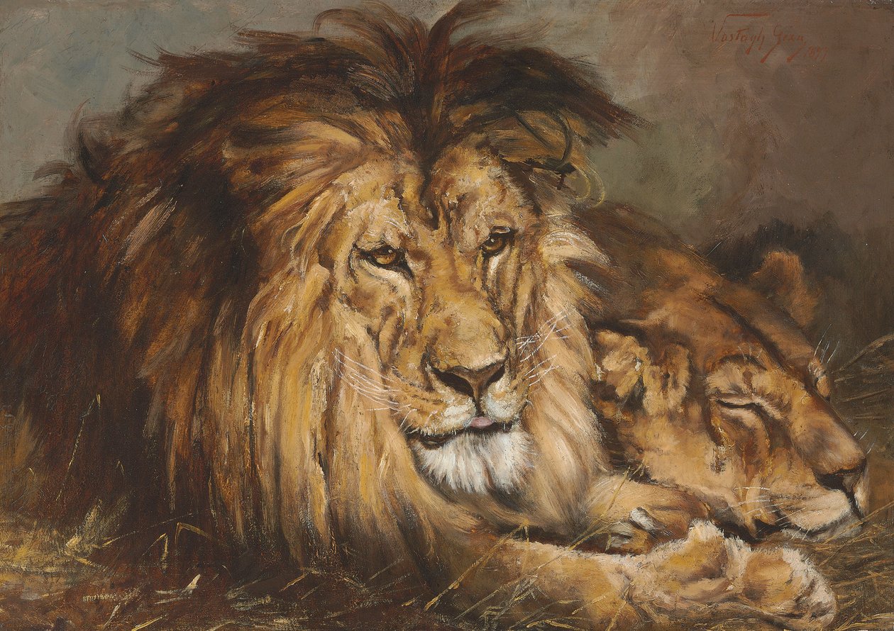 Luonnos elokuvalle "Lion and Lioness Resting", 1899 tekijältä Geza Vastagh