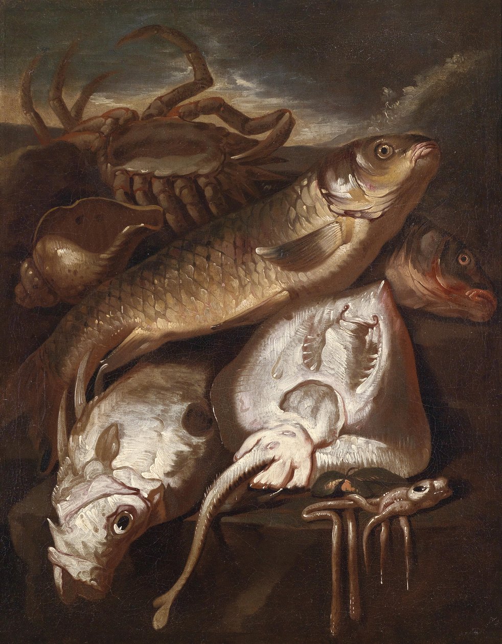 Fisch Stillleben tekijältä Giacomo Francesco Cipper