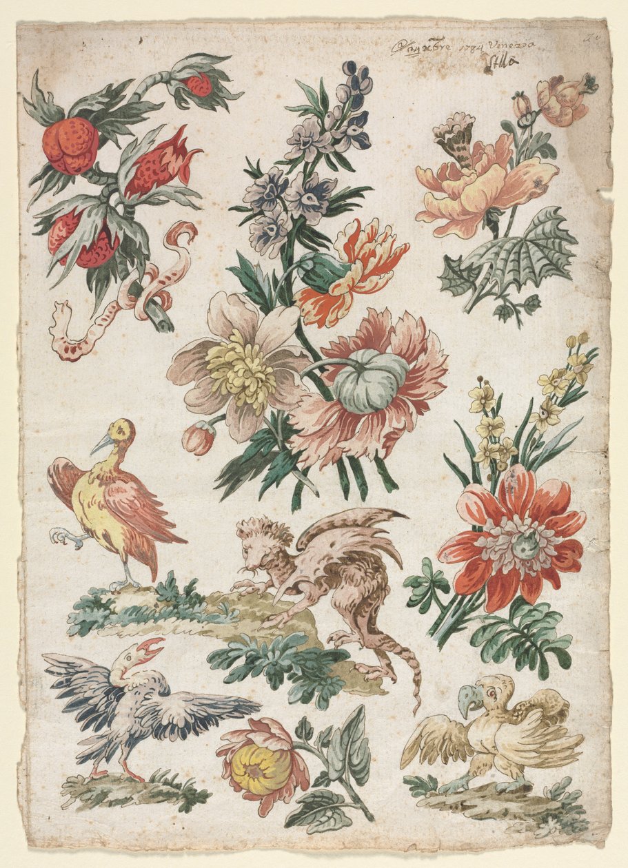 Kukkakuvioita lintuilla ja griffonilla, 1784. tekijältä Giacomo Cavenezia