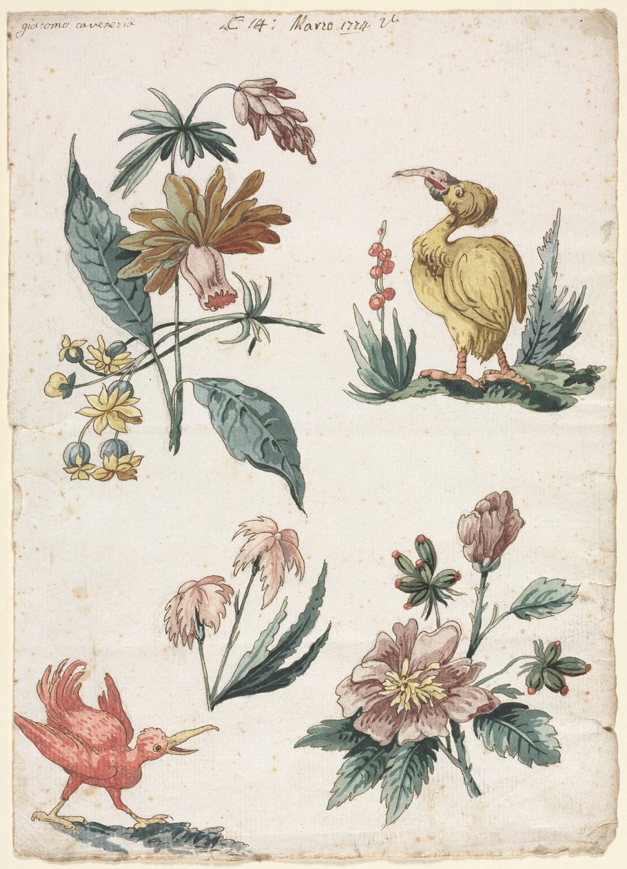 Kukkakuvioita kahdella linnulla, 1774. tekijältä Giacomo Cavenezia